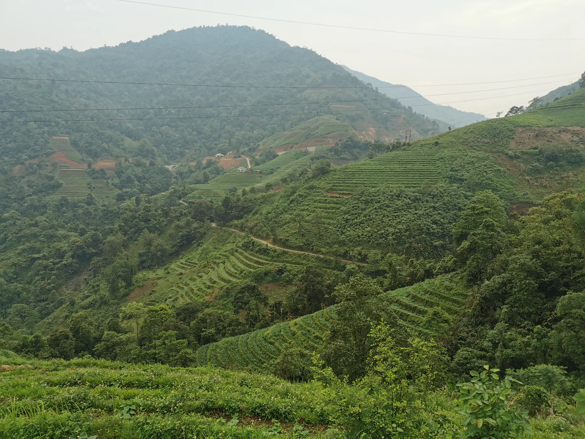 Sapa in the Rainy Season: 7 Mistakes to Avoid for a Great Trip