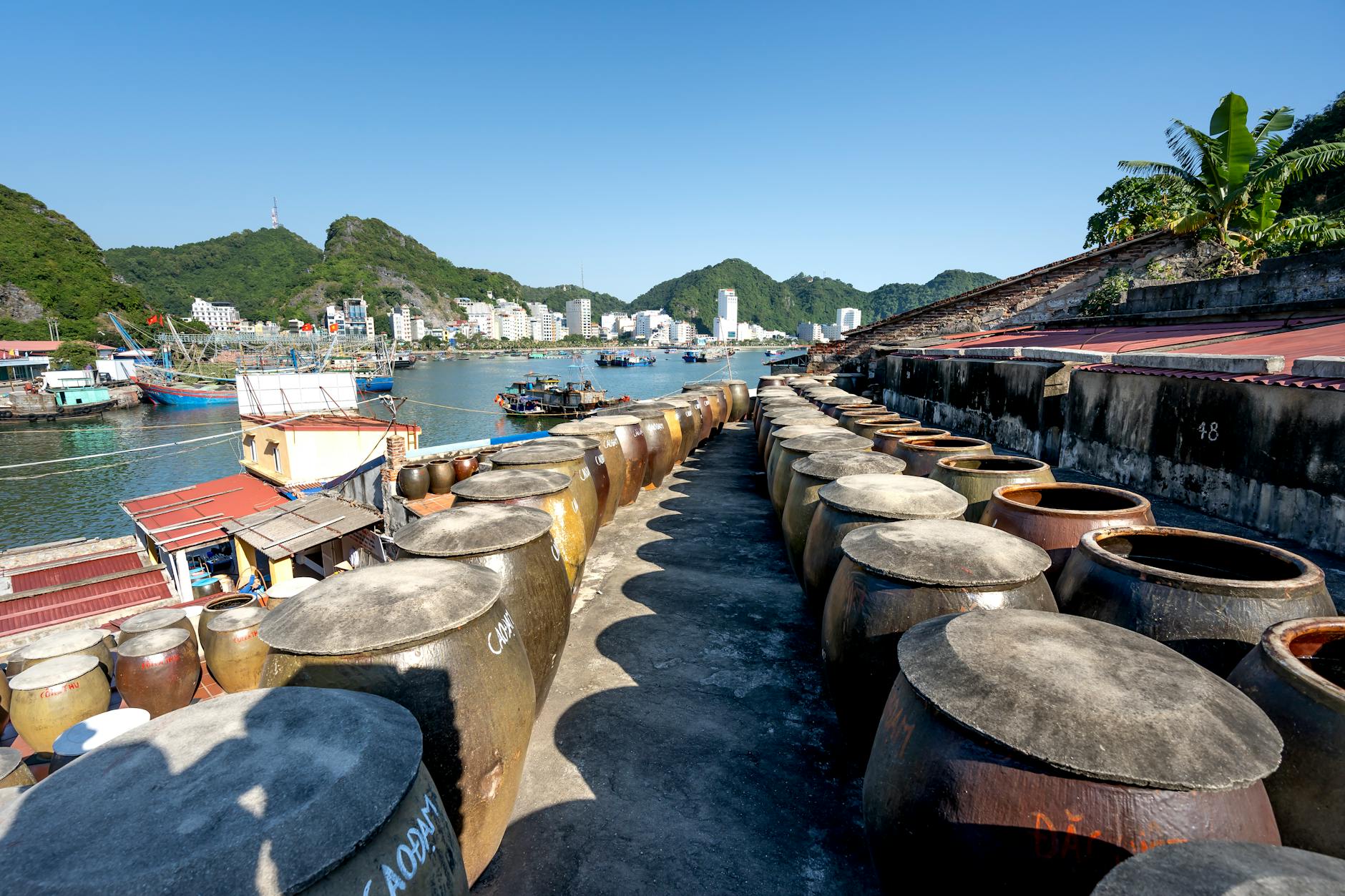 Cat Ba Island things to do: The complete 2026 guide