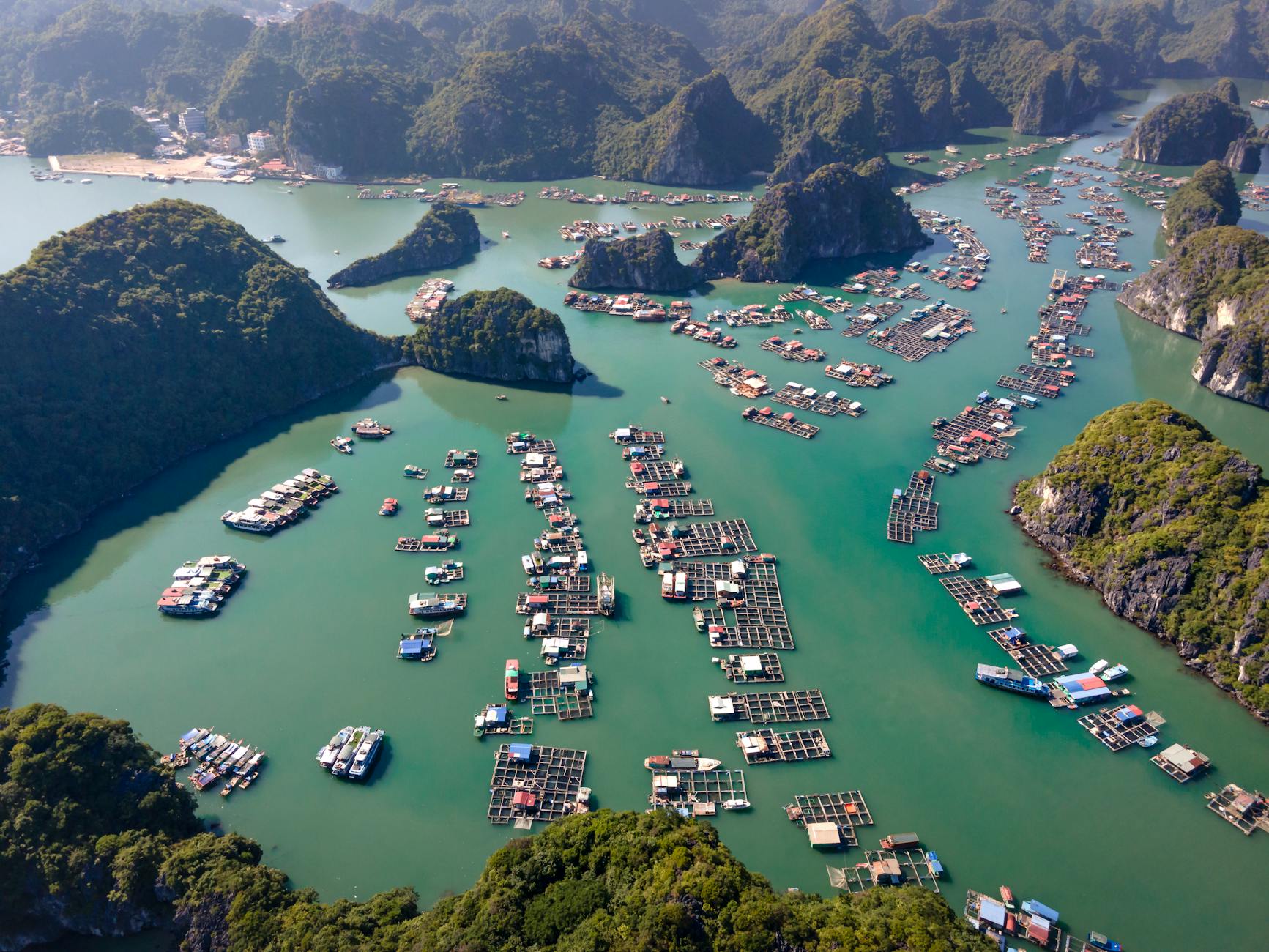 Cat Ba Town restaurants: The honest local's guide to eating well in 2026
