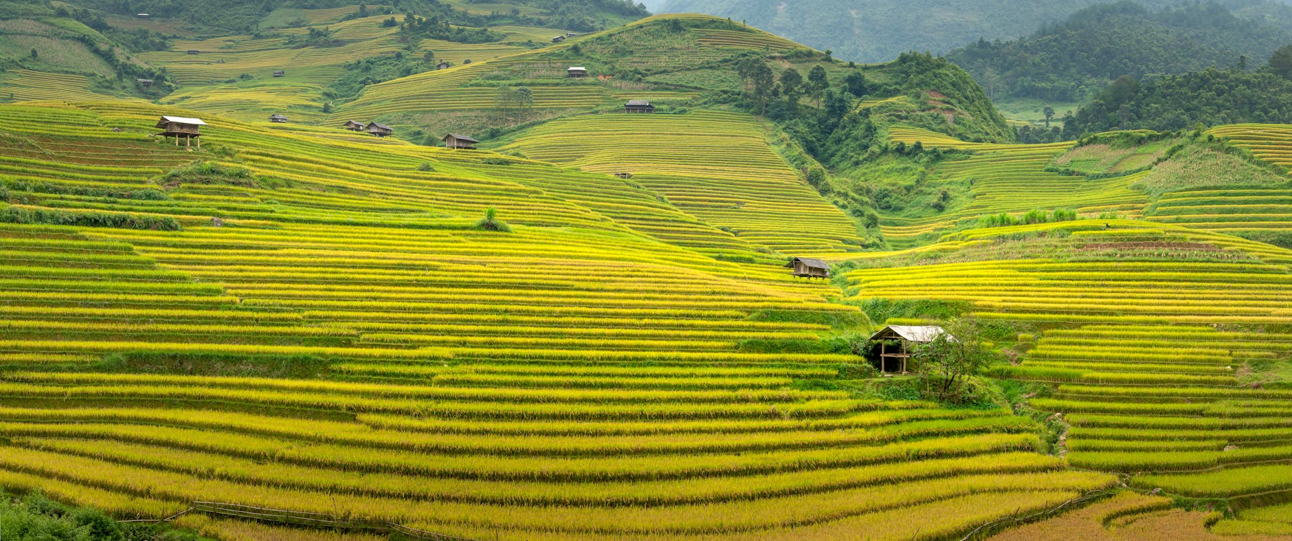 Hanoi to Sapa in 2026: Trains, Buses & Costs Compared