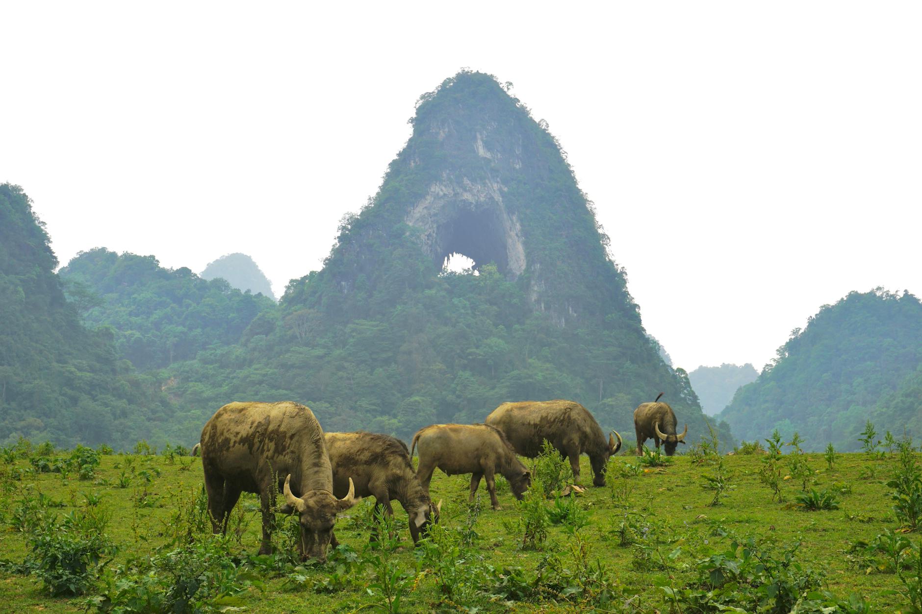 How to get to Cao Bang