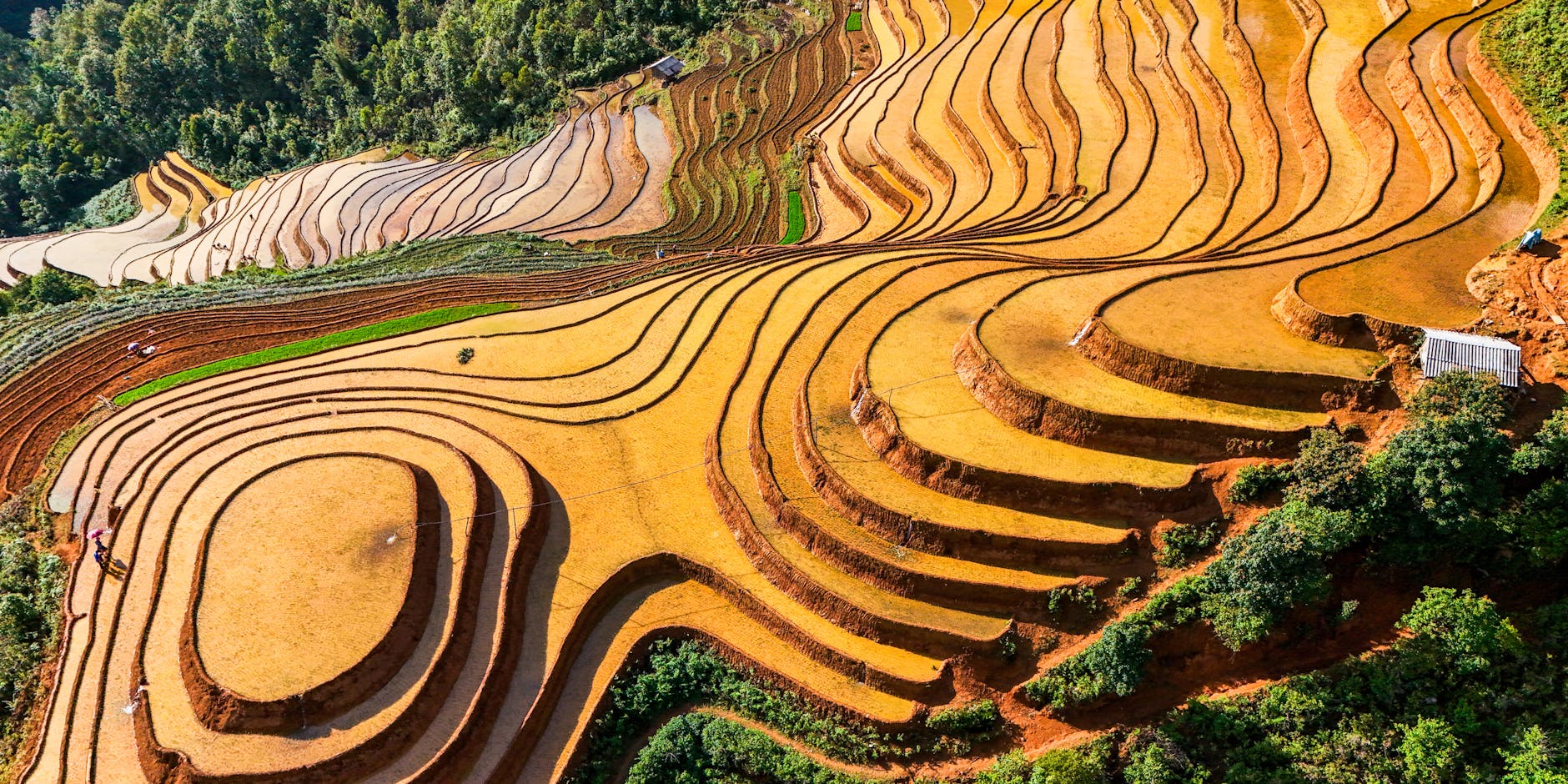 Sapa in the Rainy Season: 7 Mistakes to Avoid for a Great Trip