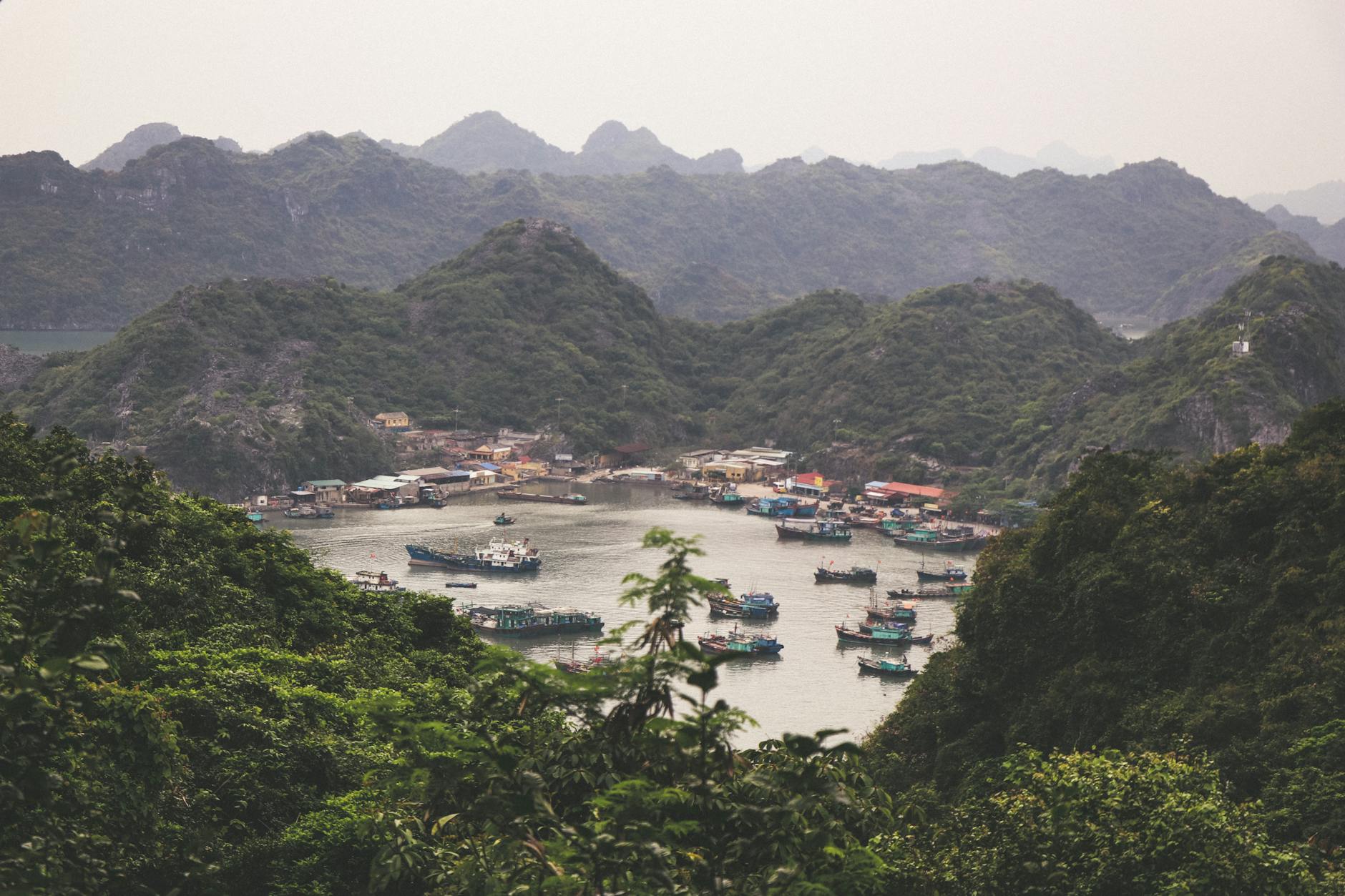 What is the main town on Cat Ba Island? A complete guide to Cat Ba Town