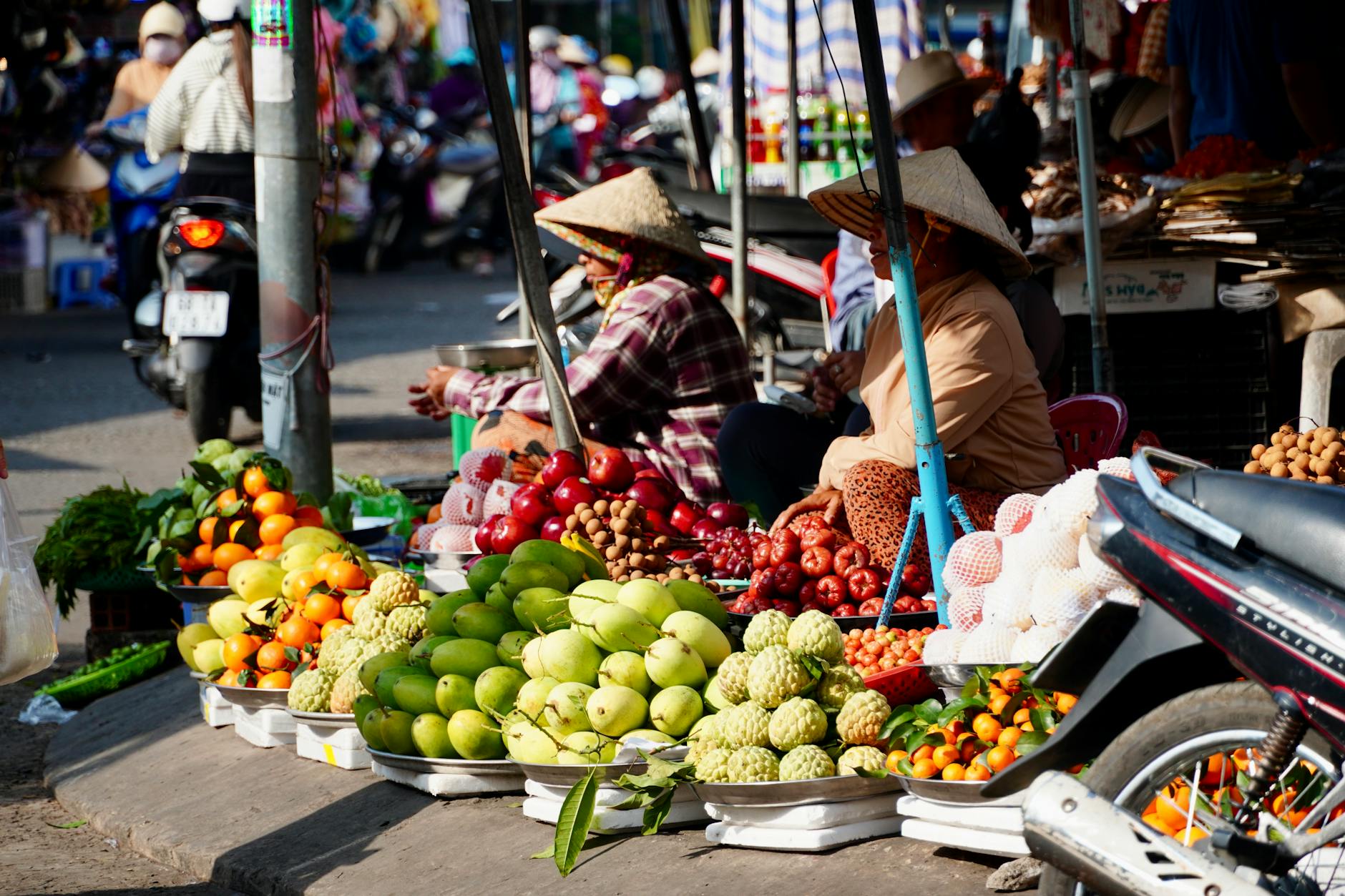 Which City Has the Strongest Vegan Presence in Vietnam? Complete 2026 Guide